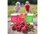 Naturprodukt probiotiká pre deti s vitamínom C